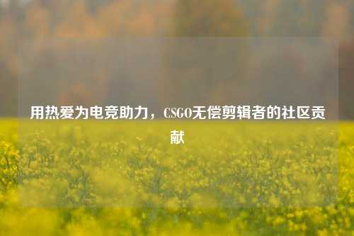 用热爱为电竞助力，CSGO无偿剪辑者的社区贡献