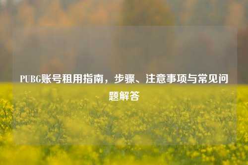PUBG账号租用指南，步骤、注意事项与常见问题解答