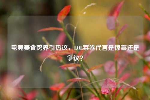电竞美食跨界引热议，LOL菜卷代言是惊喜还是争议？