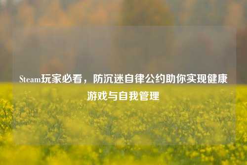 Steam玩家必看，防沉迷自律公约助你实现健康游戏与自我管理