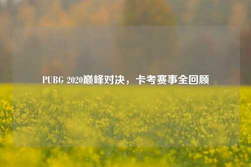 PUBG 2020巅峰对决，卡考赛事全回顾