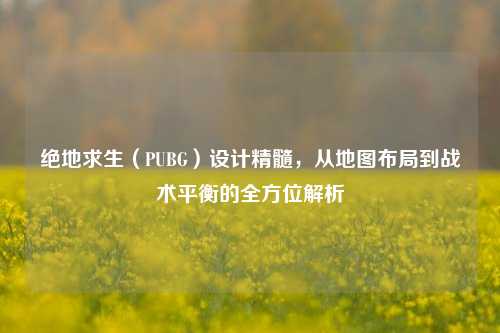 绝地求生（PUBG）设计精髓，从地图布局到战术平衡的全方位解析