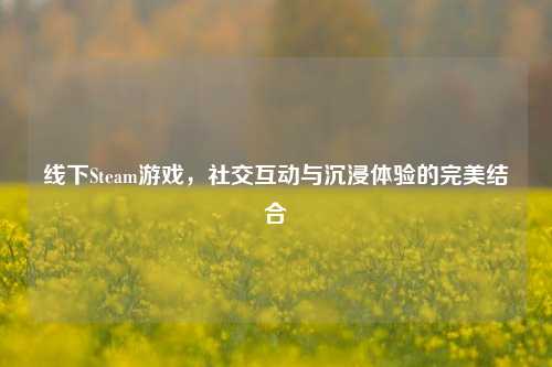 线下Steam游戏，社交互动与沉浸体验的完美结合