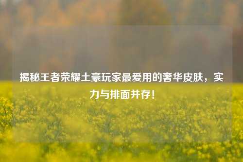 揭秘王者荣耀土豪玩家更爱用的奢华皮肤,实力与排面并存!