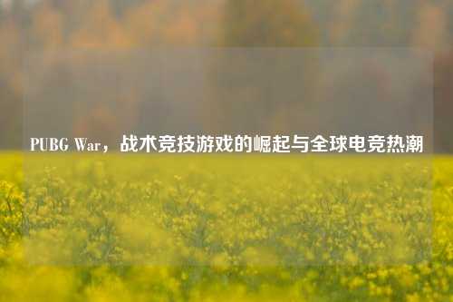 PUBG War，战术竞技游戏的崛起与全球电竞热潮