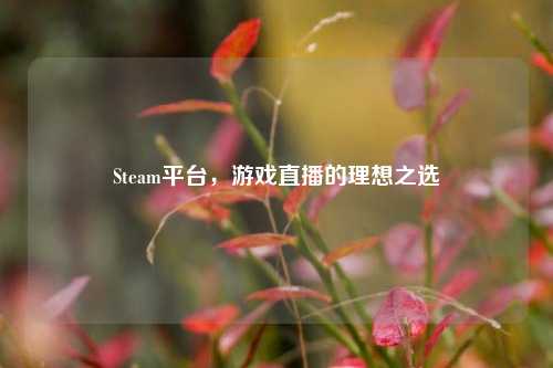Steam平台，游戏直播的理想之选