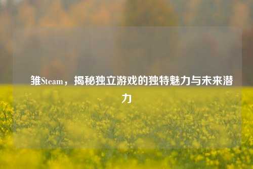 厷雏Steam，揭秘独立游戏的独特魅力与未来潜力