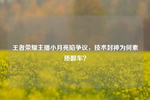 王者荣耀主播小月亮陷争议,技术封神为何素质翻车?