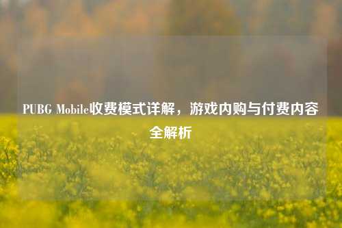 PUBG Mobile收费模式详解,游戏内购与付费内容全解析