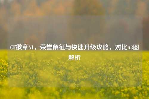 CF徽章A1,荣誉象征与快速升级攻略,对比A3图解析