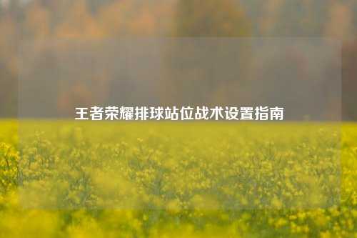 王者荣耀排球站位战术设置指南