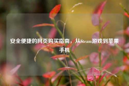 安全便捷的网页购买指南,从Steam游戏到苹果手机