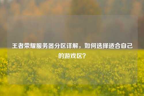 王者荣耀服务器分区详解，如何选择适合自己的游戏区？