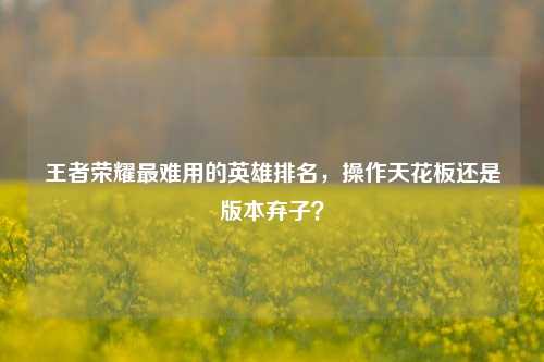 王者荣耀最难用的英雄排名,操作天花板还是版本弃子?