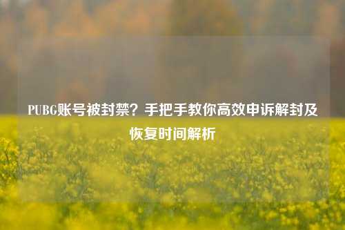 PUBG账号被封禁?手把手教你高效申诉解封及恢复时间解析