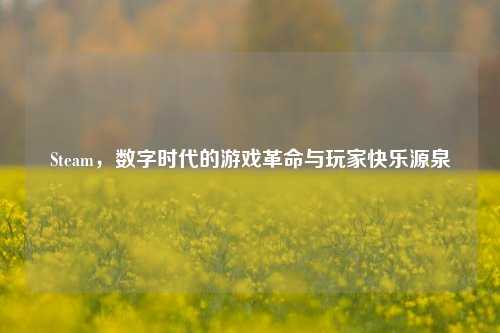 Steam，数字时代的游戏革命与玩家快乐源泉