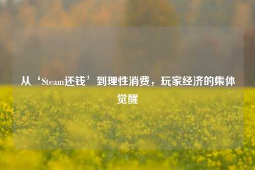 从‘Steam还钱’到理性消费,玩家经济的集体觉醒