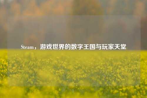 Steam，游戏世界的数字王国与玩家天堂