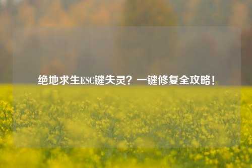 绝地求生ESC键失灵？一键修复全攻略！