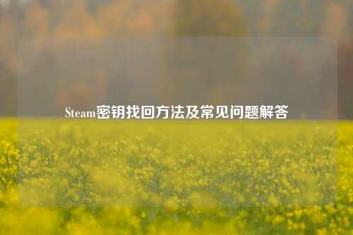 Steam密钥找回     及常见问题解答