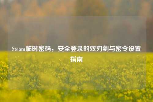Steam临时密码，安全登录的双刃剑与密令设置指南