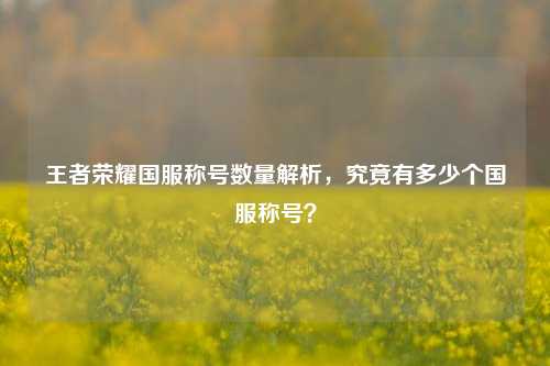 王者荣耀国服称号数量解析，究竟有多少个国服称号？