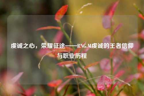 虔诚之心，荣耀征途——RNG.M虔诚的王者信仰与职业历程