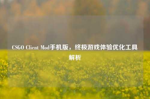 CSGO Client Mod手机版，终极游戏体验优化工具解析