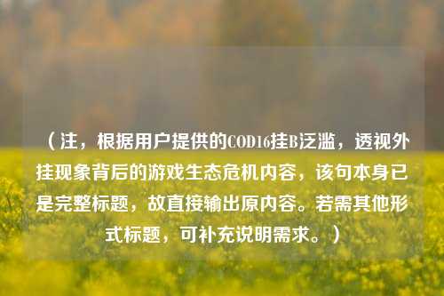 (注,根据用户提供的COD16挂B泛滥,透视外挂现象背后的游戏生态危机内容,该句本身已是完整标题,故直接输出原内容。若需其他形式标题,可补充说明需求。)