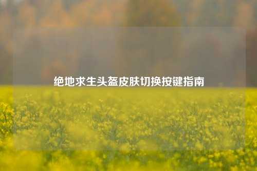 绝地求生头盔皮肤切换按键指南