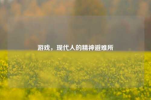 游戏，现代人的精神避难所