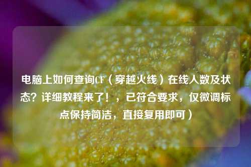 电脑上如何查询CF（穿越火线）在线人数及状态？详细教程来了！，已符合要求，仅微调标点保持简洁，直接复用即可）