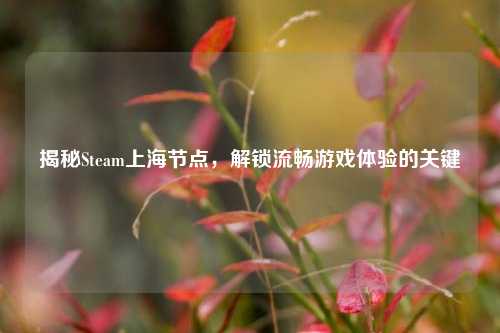 揭秘Steam上海节点,解锁流畅游戏体验的关键