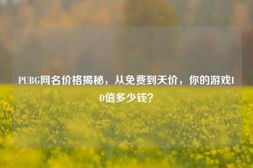 PUBG网名价格揭秘,从免费到天价,你的游戏ID值多少钱?