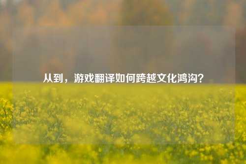 从到,游戏翻译如何跨越文化鸿沟?