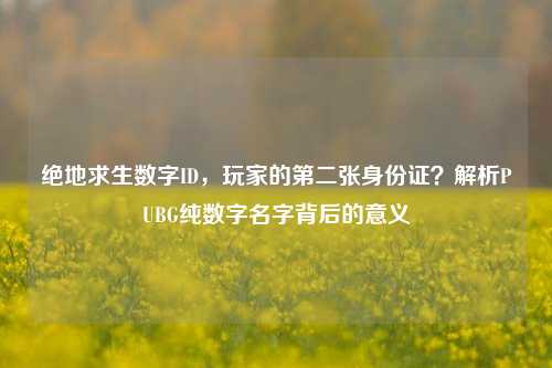 绝地求生数字ID，玩家的第二张身份证？解析PUBG纯数字名字背后的意义