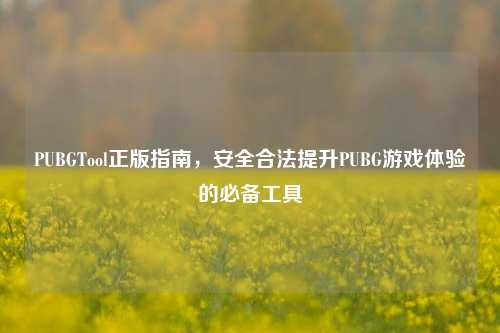 PUBGTool正版指南，安全合法提升PUBG游戏体验的必备工具