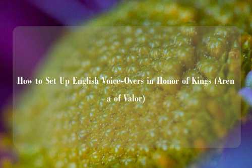How to Set Up English Voice-Overs in Honor of Kings (Arena of Valor)