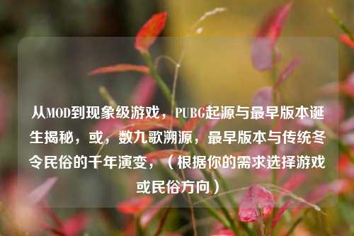 从MOD到现象级游戏，PUBG起源与最早版本诞生揭秘，或，数九歌溯源，最早版本与传统冬令民俗的千年演变，（根据你的需求选择游戏或民俗方向）