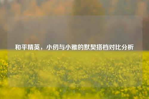 和平精英，小仞与小雅的默契搭档对比分析
