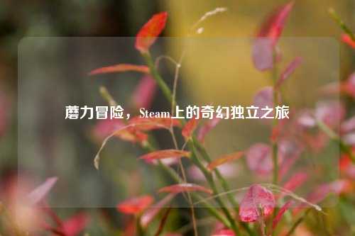 蘑力冒险,Steam上的奇幻独立之旅