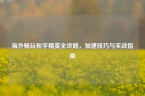 海外畅玩和平精英全攻略,加速技巧与实战指南