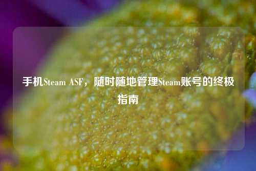 手机Steam ASF,随时随地管理Steam账号的终极指南