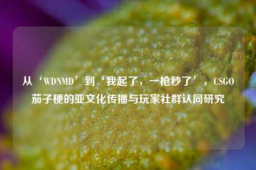 从‘WDNMD’到‘我起了,一枪秒了’,CSGO茄子梗的亚文化传播与玩家社群认同研究