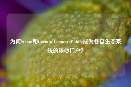 为何Steam和Garmin Connect Mobile成为各自生态系统的核心门户？