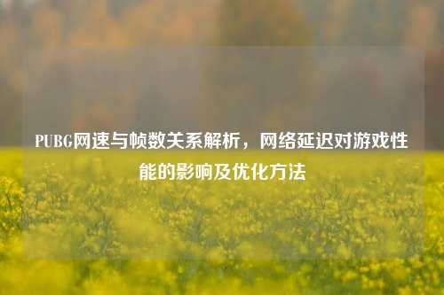 PUBG网速与帧数关系解析, 延迟对游戏性能的影响及优化