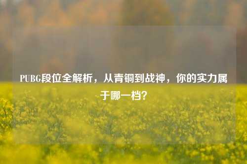 PUBG段位全解析，从青铜到战神，你的实力属于哪一档？