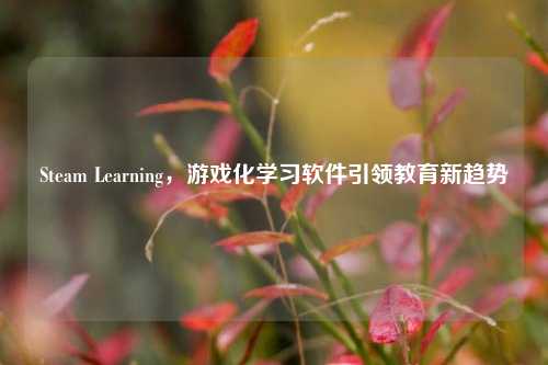 Steam Learning,游戏化学习软件引领教育新趋势