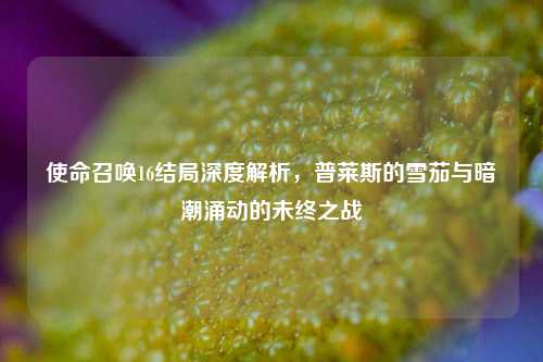 使命召唤16结局深度解析,普莱斯的雪茄与暗潮涌动的未终之战