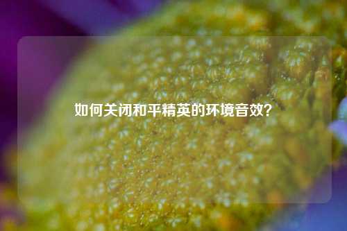 如何关闭和平精英的环境音效？